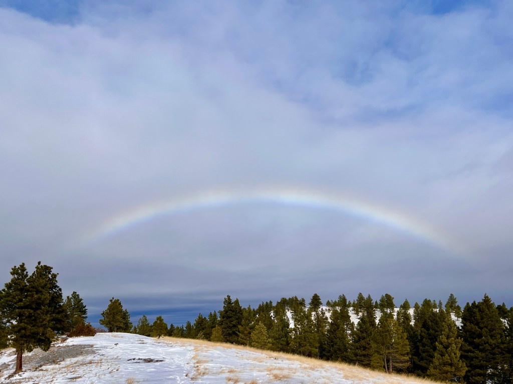1000 Miles in Helena’s Hills