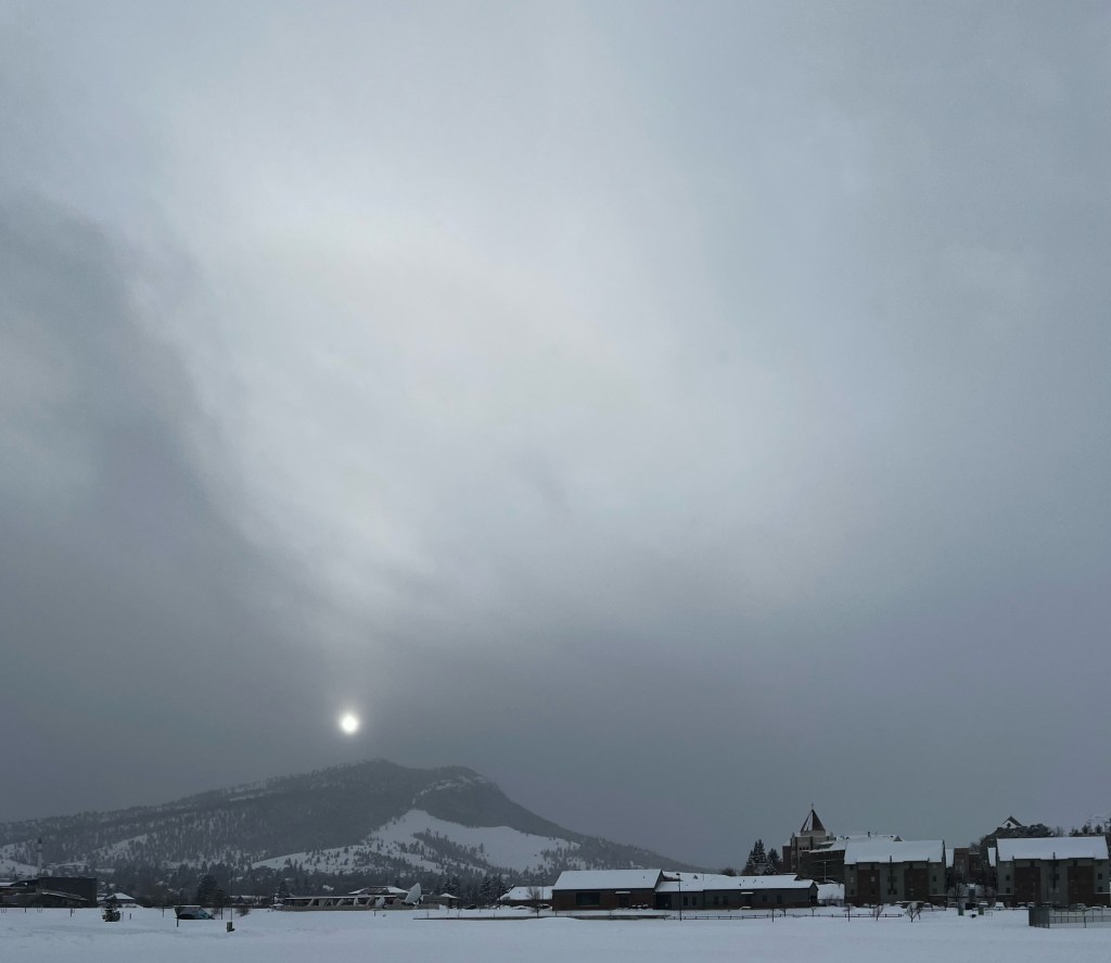 A bit brutal,&nbsp;maybe?