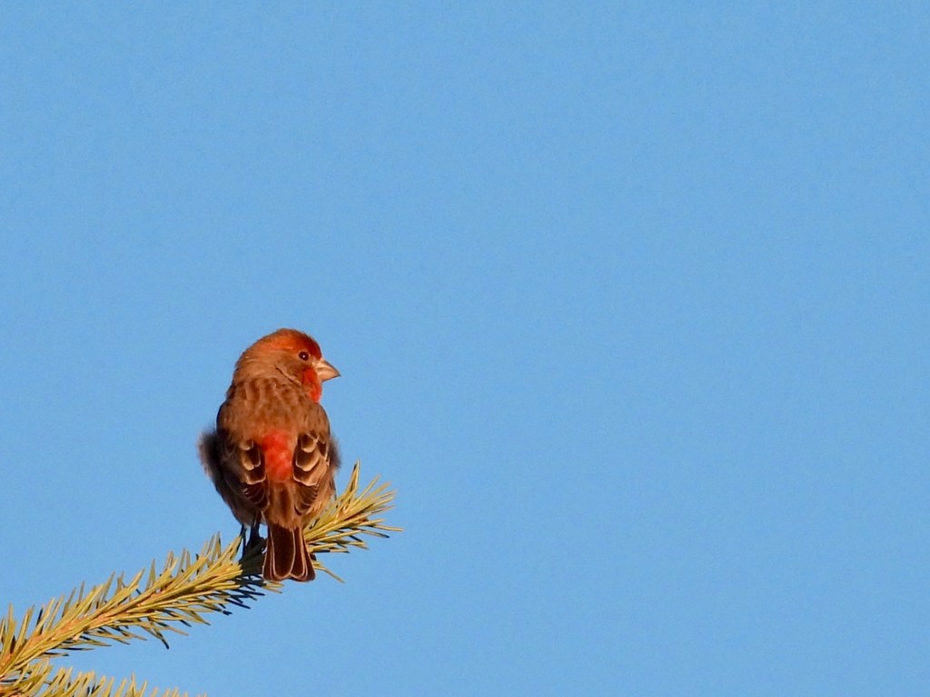 February in the&nbsp;Rearview