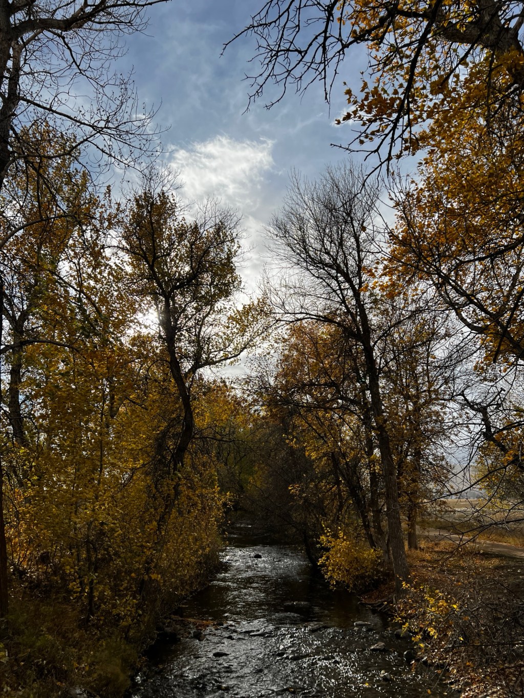 The Value of Helena’s Wildland-Urban Interface as a Recreational and Economic&nbsp;Asset