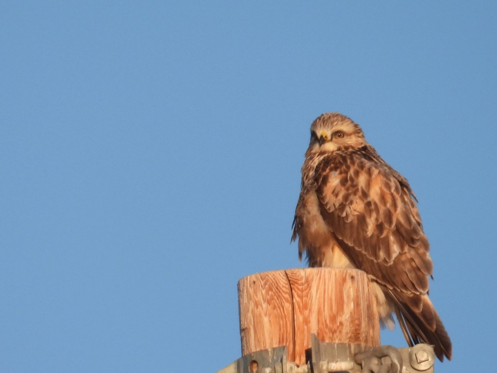 Going Well, If A Bit Odd