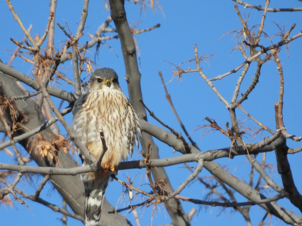 Off To A Good&nbsp;Start