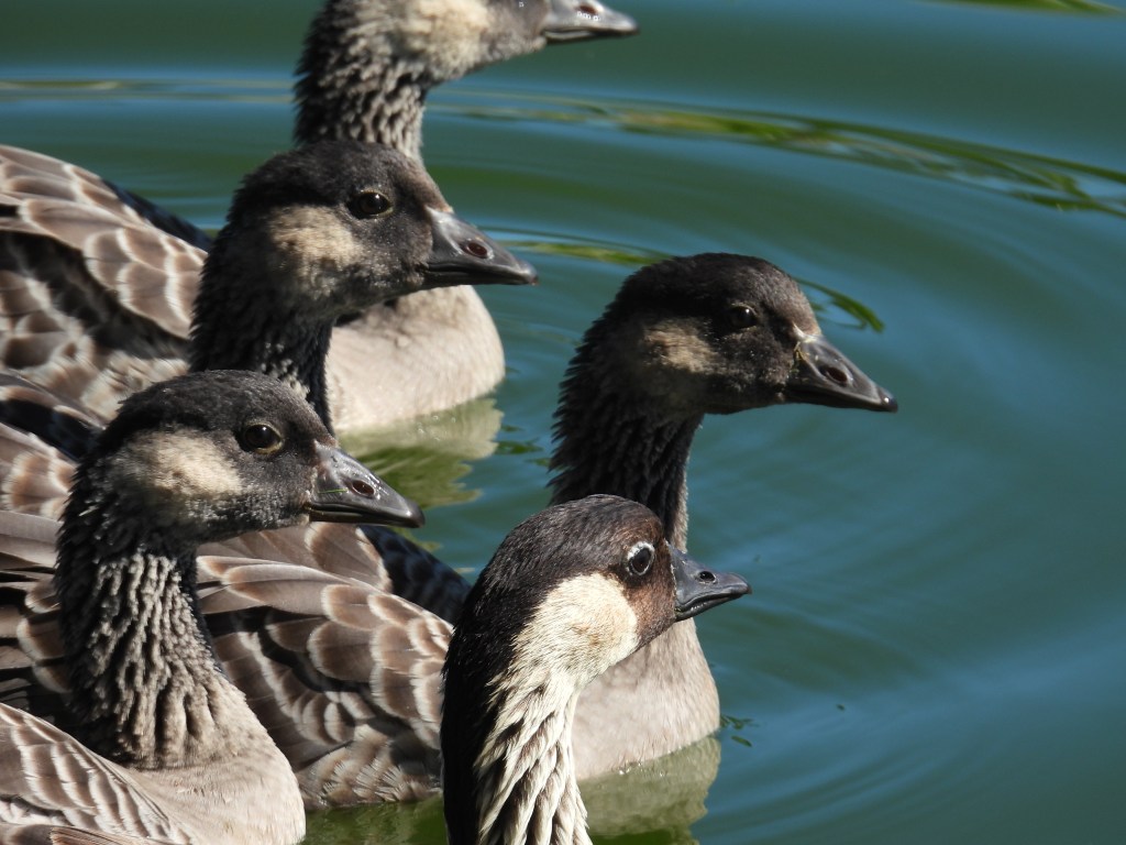 Bit cold right&nbsp;now